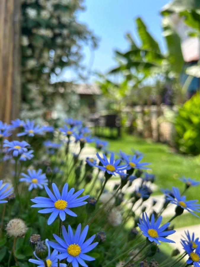 Pupa Alacati Butik Otel Çeşme 외부 사진